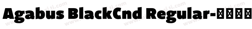 Agabus BlackCnd Regular字体转换